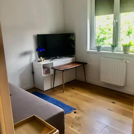 Stylowy Apartament W Centrum Miasta *
